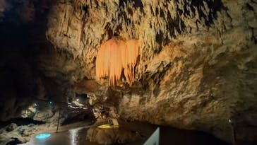 CAVE OKINAWAに投稿された画像（2024/12/17）