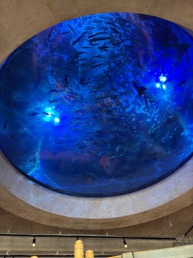 AQUARIUM × ART　atoaに投稿された画像（2024/12/17）