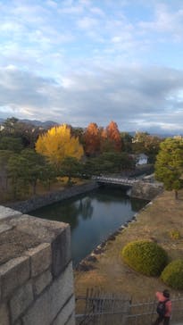 元離宮二条城に投稿された画像（2024/12/17）