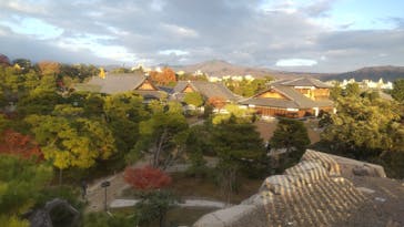 元離宮二条城に投稿された画像（2024/12/17）