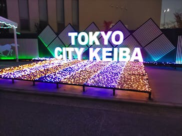 東京メガイルミに投稿された画像（2024/12/17）