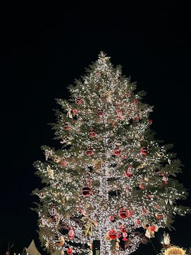 Christmas Market in 横浜赤レンガ倉庫 2025に投稿された画像（2024/12/17）