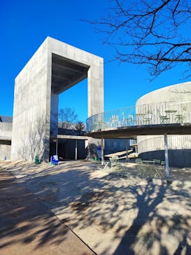 霞ケ浦 どうぶつとみんなのいえに投稿された画像（2024/12/17）