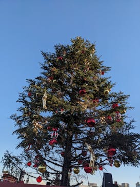 Christmas Market in 横浜赤レンガ倉庫 2025に投稿された画像（2024/12/17）