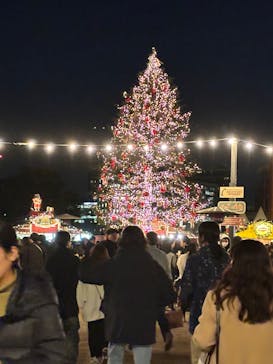 Christmas Market in 横浜赤レンガ倉庫 2025に投稿された画像（2024/12/17）