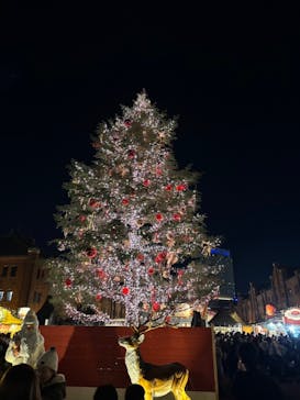 Christmas Market in 横浜赤レンガ倉庫 2025に投稿された画像（2024/12/17）