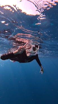  マリンショップHAPPYに投稿された画像（2024/12/17）