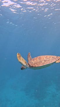  マリンショップHAPPYに投稿された画像（2024/12/17）