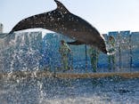 新江ノ島水族館に投稿された画像（2024/12/18）