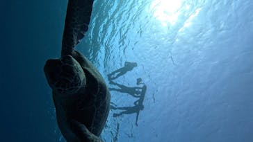  マリンショップHAPPYに投稿された画像（2024/12/18）