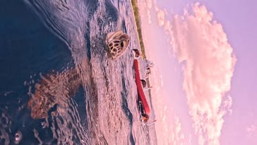  マリンショップHAPPYに投稿された画像（2024/12/18）