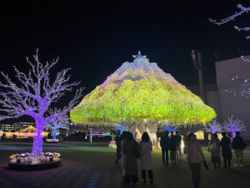 東京メガイルミに投稿された画像（2024/12/18）