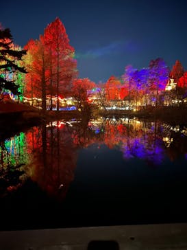 ムーミンバレーパークに投稿された画像（2024/12/18）