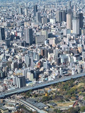 ハルカス300(展望台)に投稿された画像（2024/12/18）