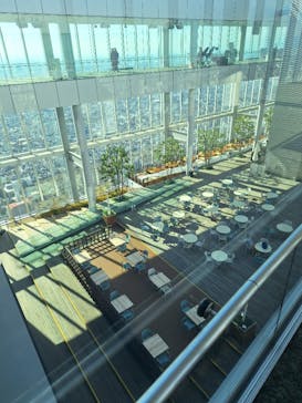 ハルカス300(展望台)に投稿された画像（2024/12/18）