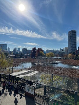 恩賜上野動物園に投稿された画像（2024/12/18）