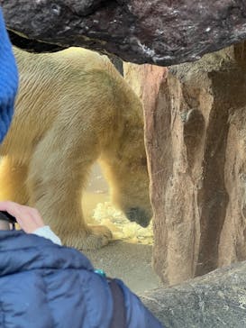 恩賜上野動物園に投稿された画像（2024/12/18）