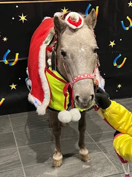 東京メガイルミに投稿された画像（2024/12/18）