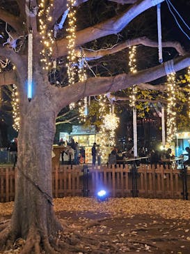 Christmas Market in 横浜赤レンガ倉庫 2025に投稿された画像（2024/12/18）