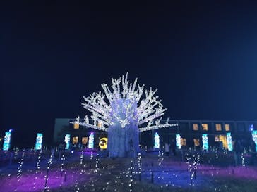 ラグーナテンボス ラグナシアに投稿された画像（2024/12/18）