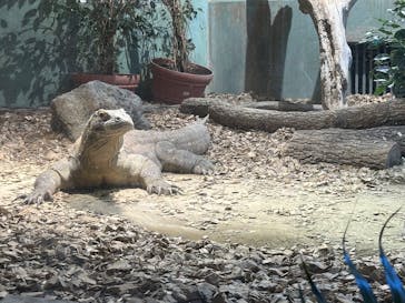 名古屋市東山動植物園に投稿された画像（2024/12/18）