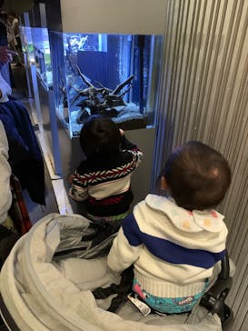 すみだ水族館に投稿された画像（2024/12/18）