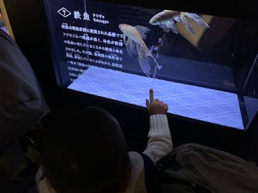 すみだ水族館に投稿された画像（2024/12/18）