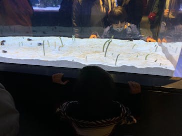 すみだ水族館に投稿された画像（2024/12/18）