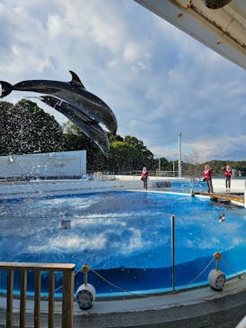 九十九島パールシーリゾートに投稿された画像（2024/12/18）