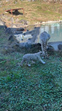 伊豆アニマルキングダムに投稿された画像（2024/12/18）