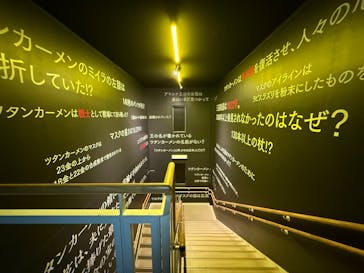 MYSTERY OF TUTANKHAMEN 体感型古代エジプト展に投稿された画像（2024/12/18）