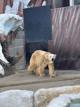 恩賜上野動物園に投稿された画像（2024/12/18）