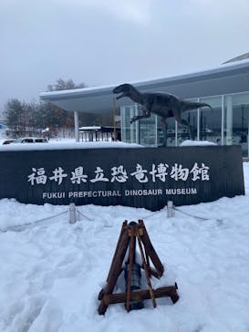 福井県立恐竜博物館に投稿された画像（2024/12/18）