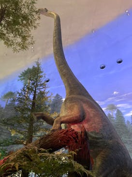 福井県立恐竜博物館に投稿された画像（2024/12/18）