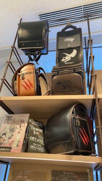 福井県立恐竜博物館に投稿された画像（2024/12/18）