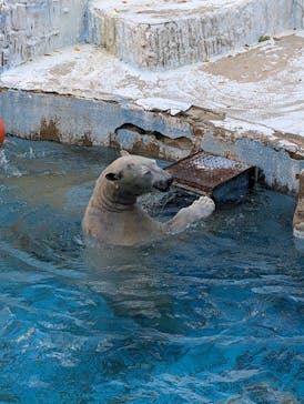 天王寺動物園に投稿された画像（2024/12/18）