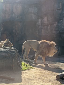 天王寺動物園に投稿された画像（2024/12/18）