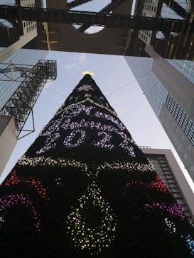 梅田スカイビル・空中庭園展望台に投稿された画像（2024/12/18）