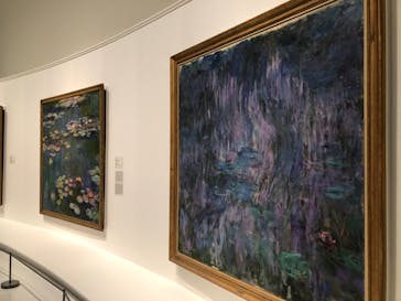 モネ 睡蓮のとき（国立西洋美術館）に投稿された画像（2024/12/18）