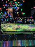 AQUARIUM × ART　atoaに投稿された画像（2024/12/18）