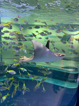 AQUARIUM × ART　atoaに投稿された画像（2024/12/18）