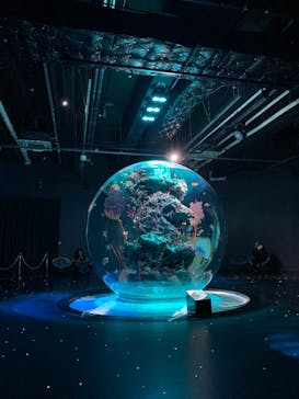 AQUARIUM × ART　atoaに投稿された画像（2024/12/18）