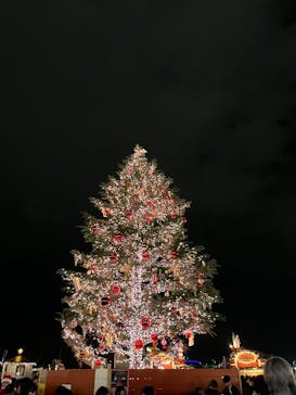 Christmas Market in 横浜赤レンガ倉庫 2025に投稿された画像（2024/12/18）