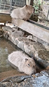 長崎バイオパークに投稿された画像（2024/12/18）