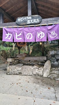 長崎バイオパークに投稿された画像（2024/12/18）