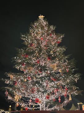 Christmas Market in 横浜赤レンガ倉庫 2025に投稿された画像（2024/12/18）