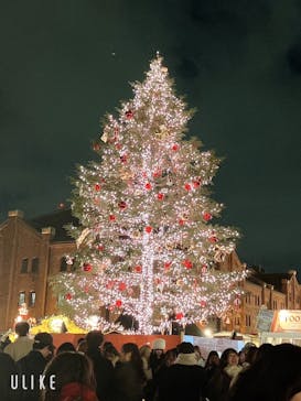 Christmas Market in 横浜赤レンガ倉庫 2025に投稿された画像（2024/12/18）