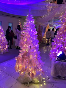 梅田スカイビル・空中庭園展望台に投稿された画像（2024/12/18）