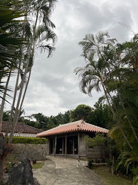 琉球村に投稿された画像（2024/12/18）