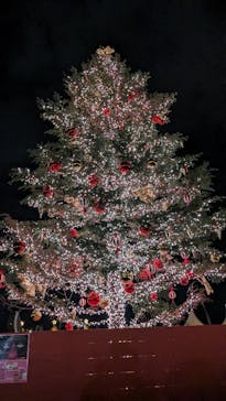 Christmas Market in 横浜赤レンガ倉庫 2025に投稿された画像（2024/12/18）